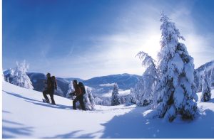 Camping im Schnee