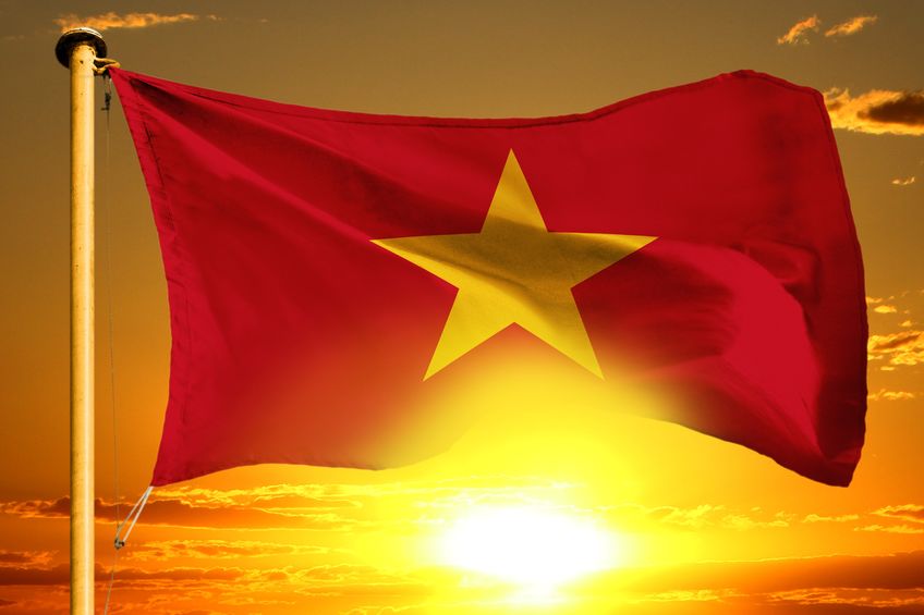 #49plus Vietnam