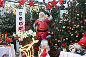 #49plus Weihnachten in Wien